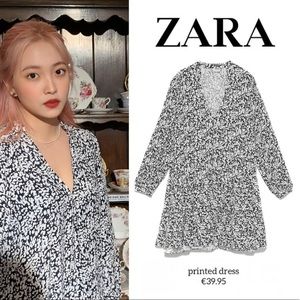 ZARA Long Sleeve Printed Dress